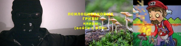 дживик Богданович