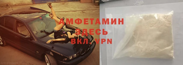 хмурый Аркадак